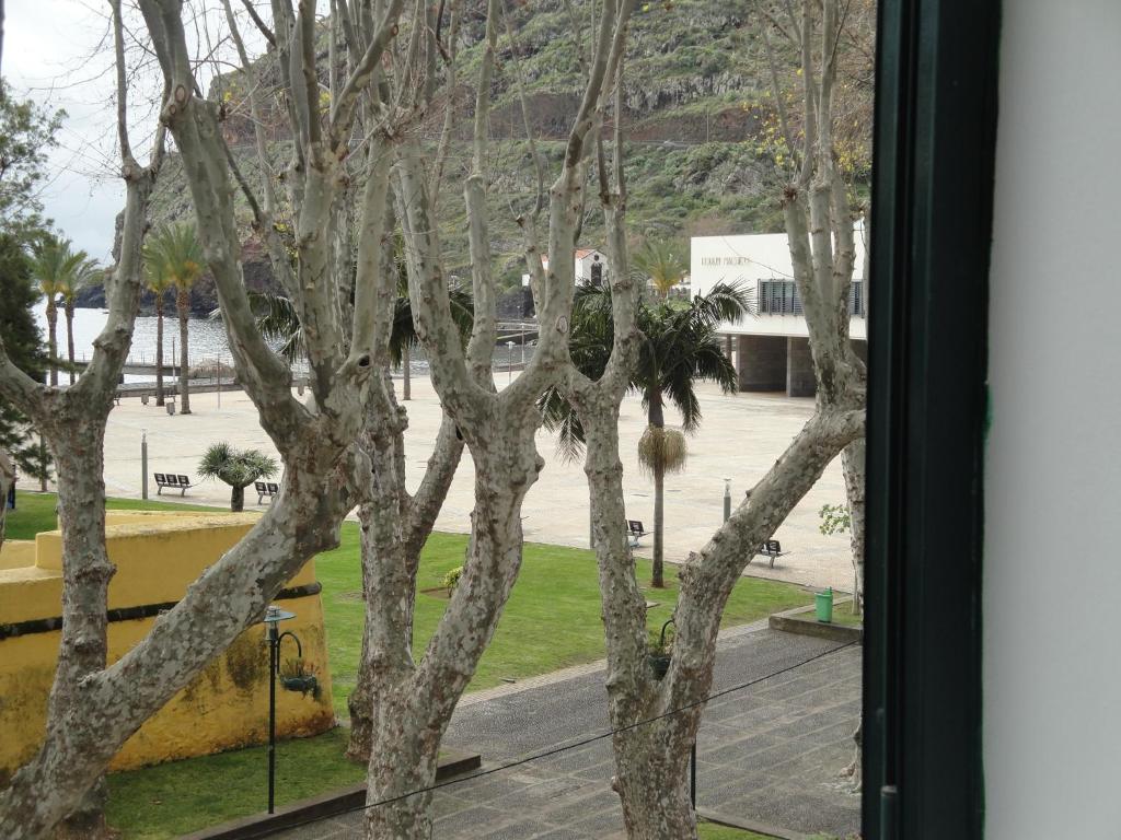 a view from a window of a group of trees at Apartment Alameda with Sea View in Machico