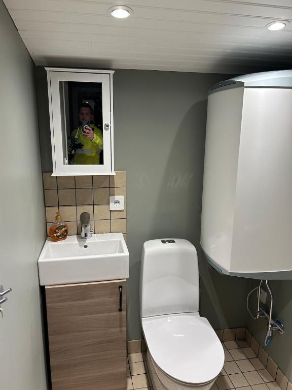 Koupelna v ubytování Tiny house Söderåsen