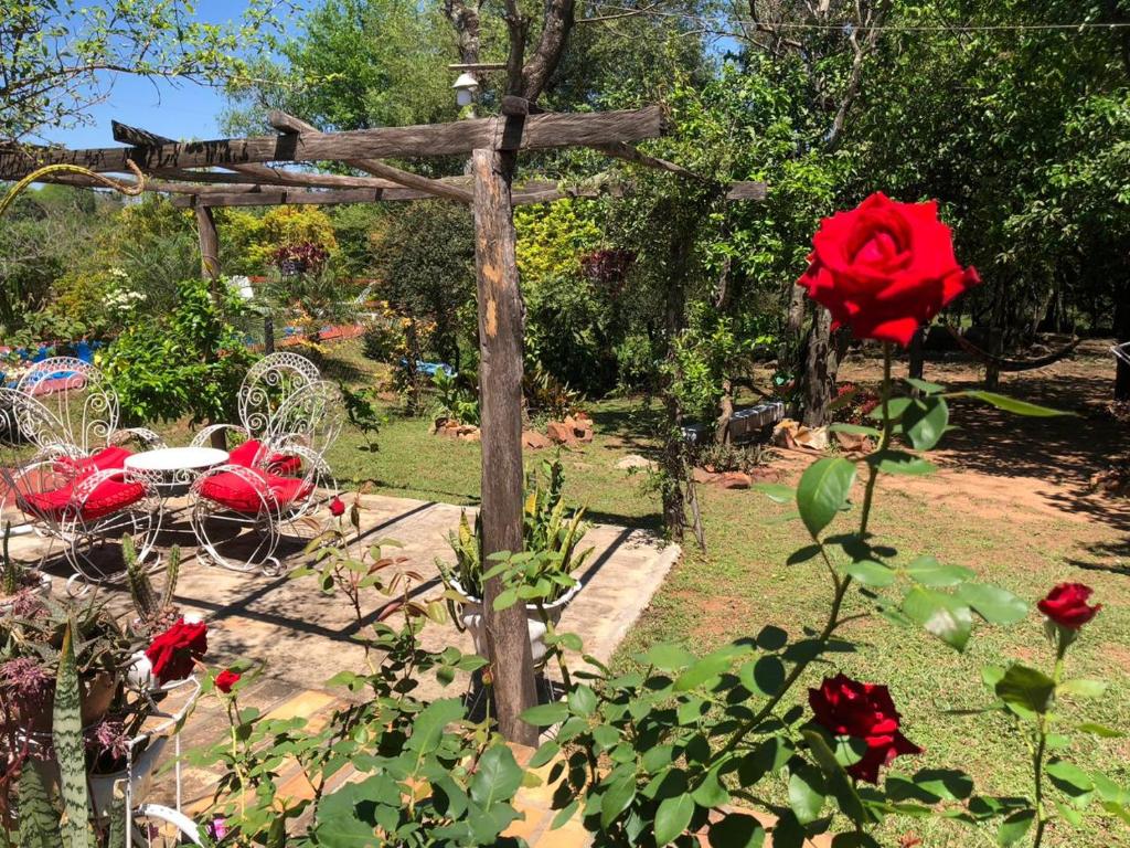 Zahrada ubytování Rancho Ña Ignacia Nueva Colombia