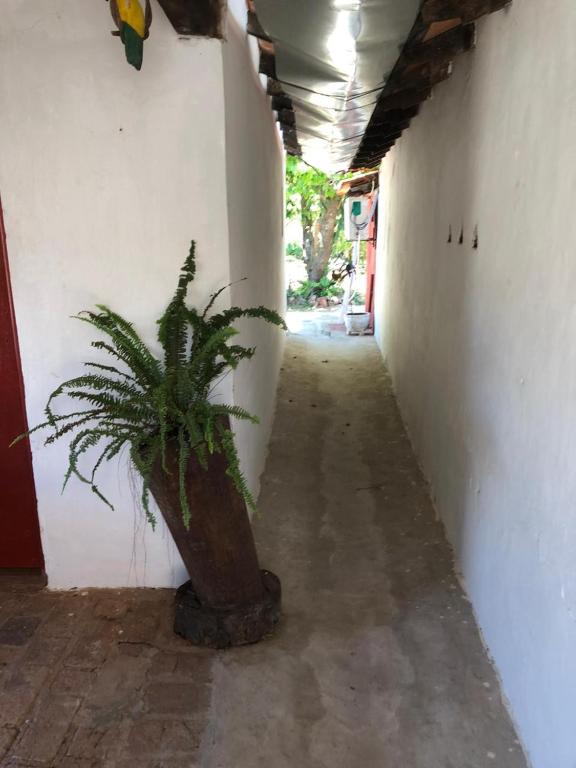 Fotografie z fotogalerie ubytování Rancho Ña Ignacia Nueva Colombia v destinaci Nueva Colombia