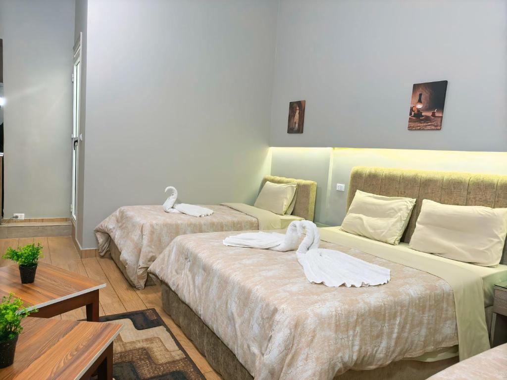 Holy Sheet Hostel 객실 침대