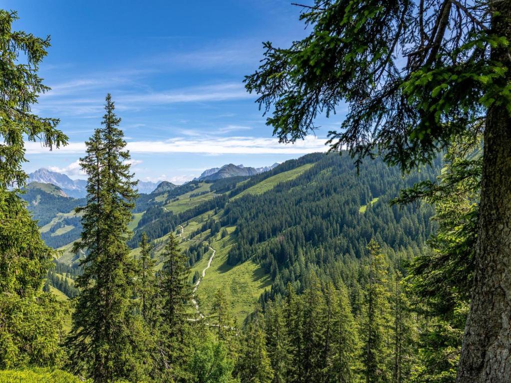 Príroda v okolí apartmánu