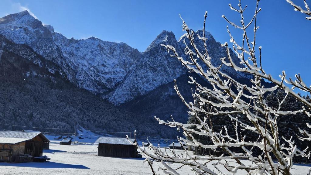 a snow covered tree with mountains in the background at Haus Kreuzeckwiese - FeWo Riffelwandspitze in Garmisch-Partenkirchen