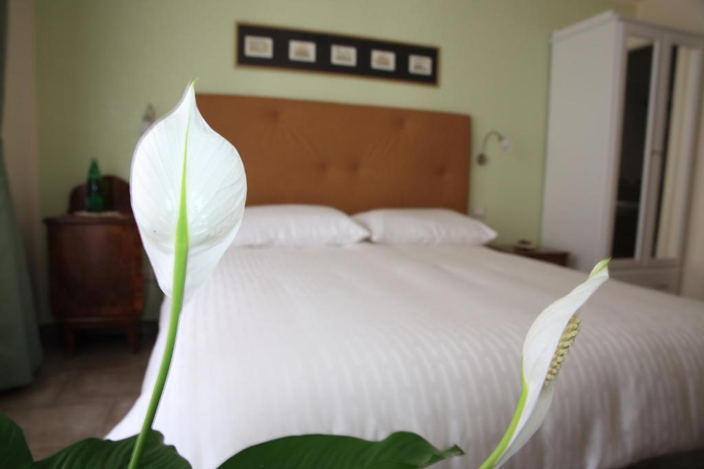 Posteľ alebo postele v izbe v ubytovaní Anice Guesthouse