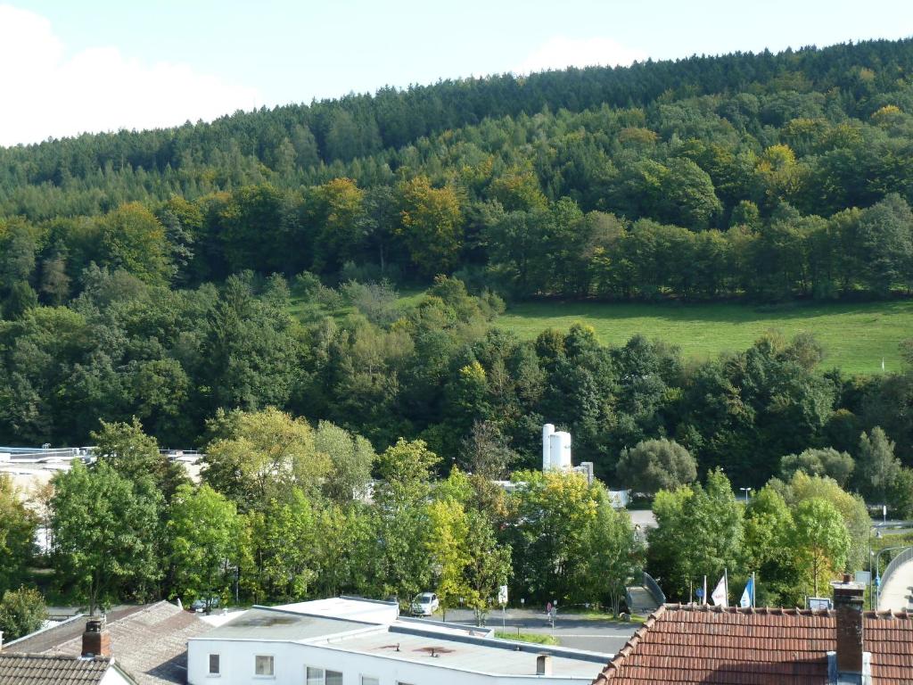 Příroda nedaleko apartmánu