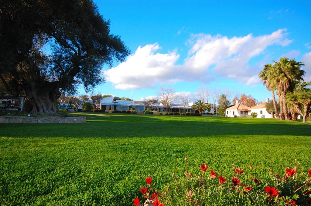 un campo verde con flores rojas en un parque en Pedras D'el Rei Villa V1, en Tavira