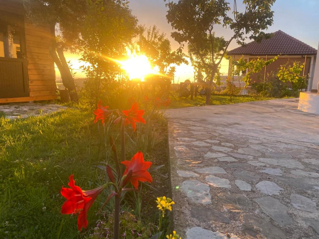 Giardino di Meti guest house