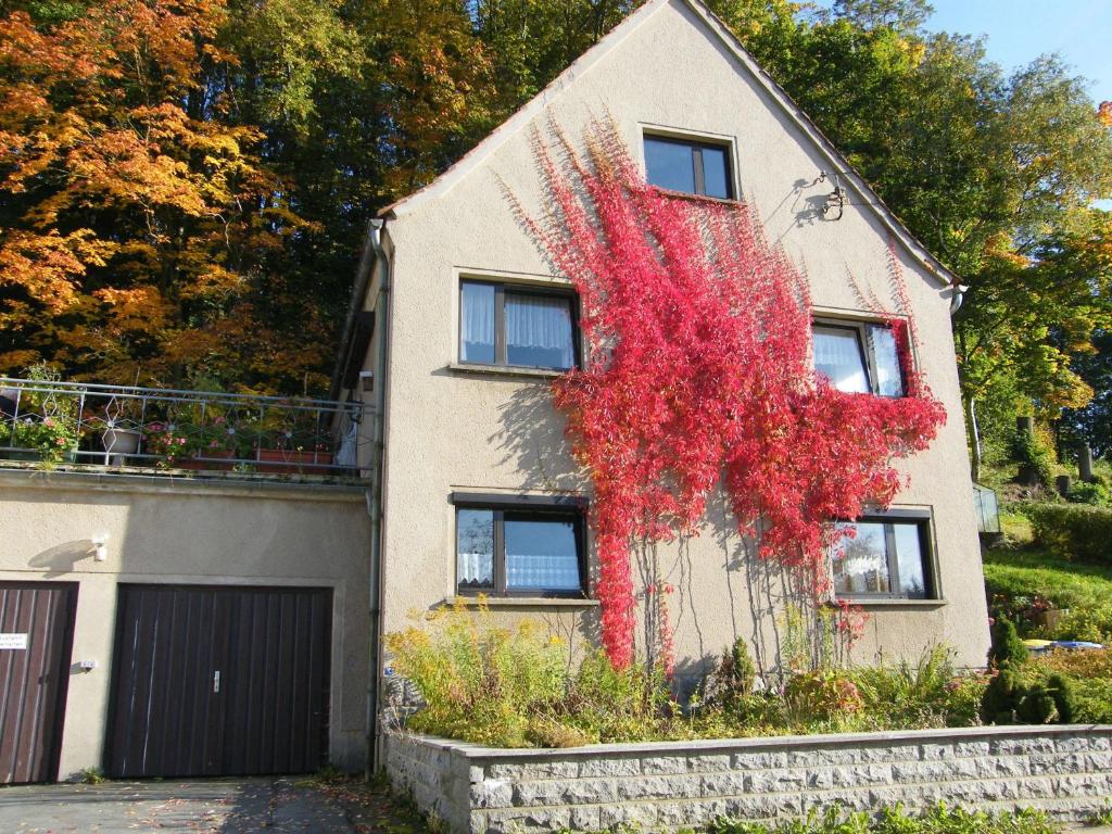 a house with a red tree on the side of it at unser Ferienhaus in Hempel