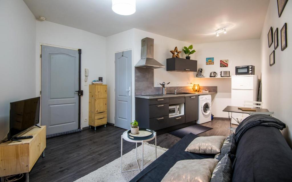 un salon avec un canapé et une cuisine dans l'établissement Studio SO rez de chaussée centre-ville, à Millau