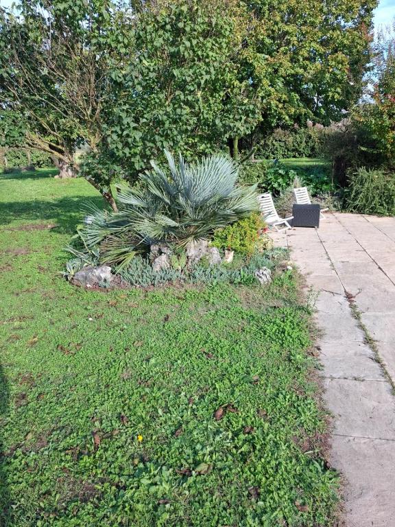 Zahrada ubytování Gîte cocooning avec piscine