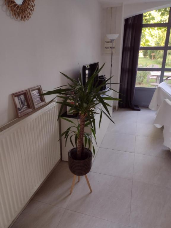 Posezení v ubytování Gîte cocooning avec piscine