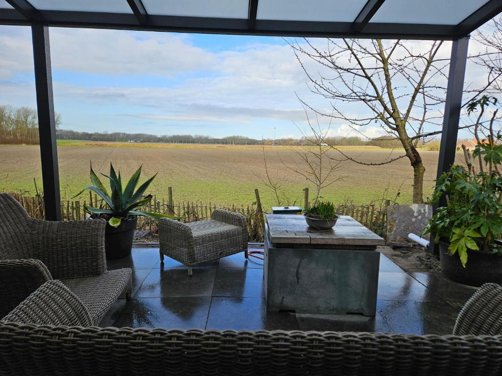 a patio with chairs and a table and a field at Sea Breeze apartment Hellevoetsluis in Hellevoetsluis