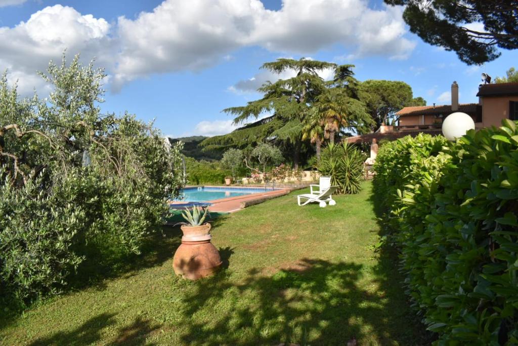une cour avec une plante en pot à côté d'une piscine dans l'établissement Agriturismo TERRANERA, à Scansano