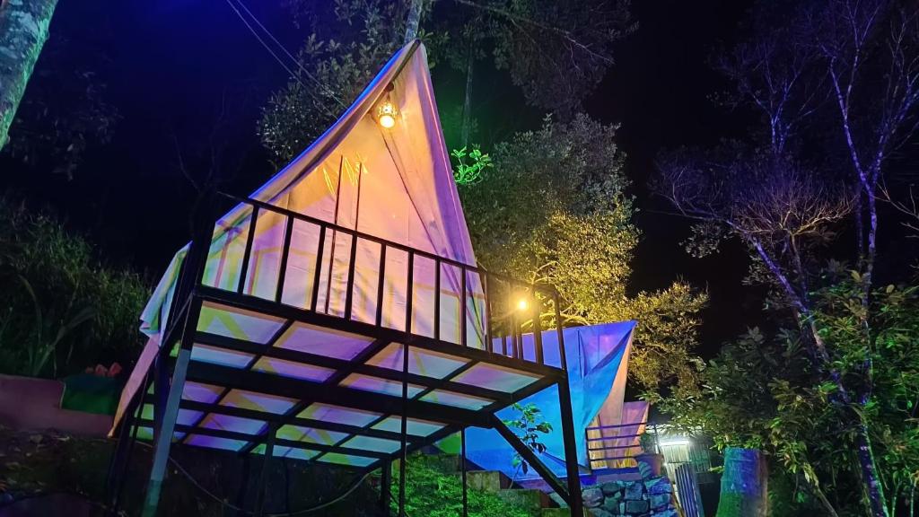 Zahrada ubytování Woods inn munnar