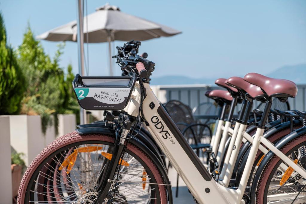 Jízda na kole v ubytování Harmony Hotel Nafplio nebo okolí