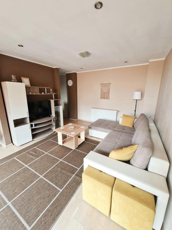 un salon avec un canapé et une télévision dans l'établissement Stylish Penthouse with City View & Private Parking, à Timişoara