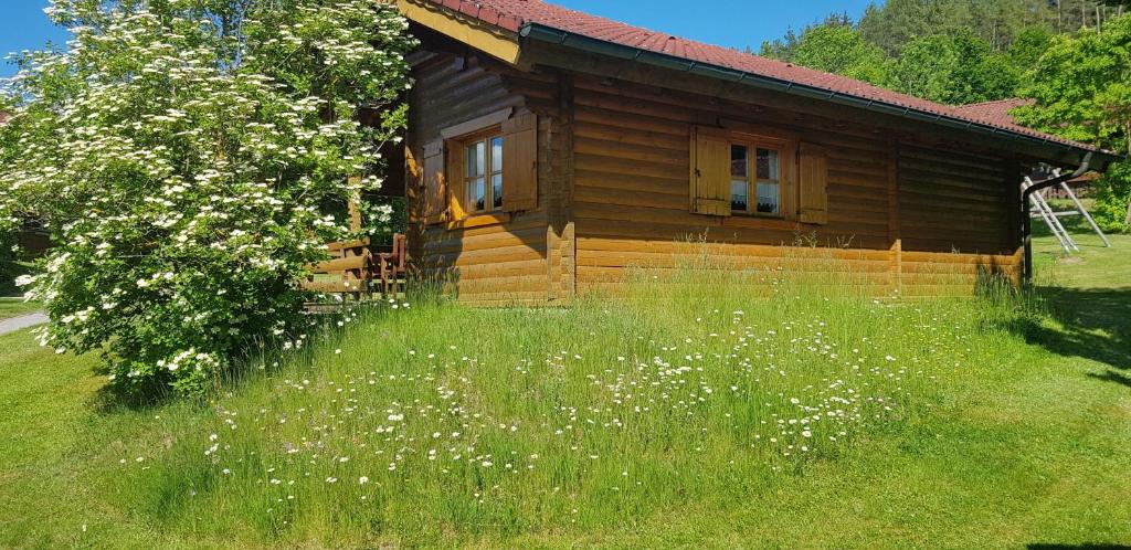 a wooden cabin with a field of grass and flowers at Blockhaus Stamsried in Stamsried