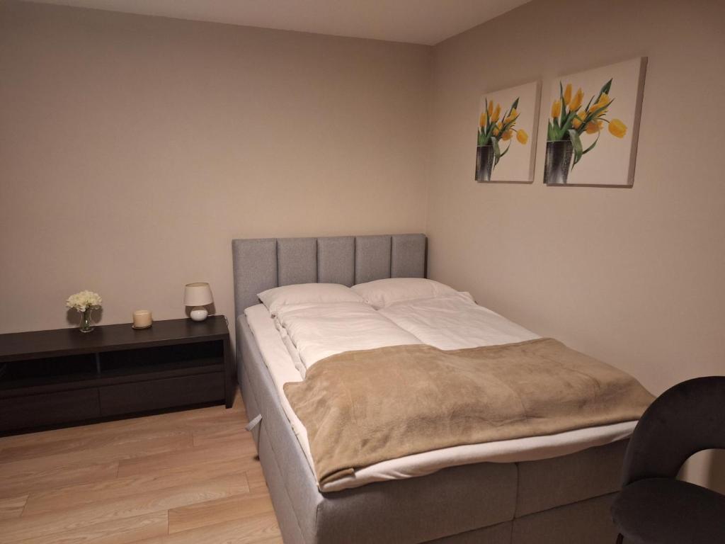 Apartamenty 