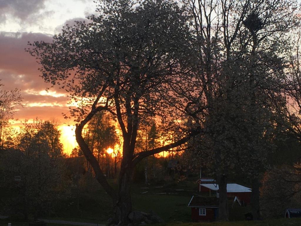 Východ nebo západ slunce při pohledu z hostelu nebo okolí