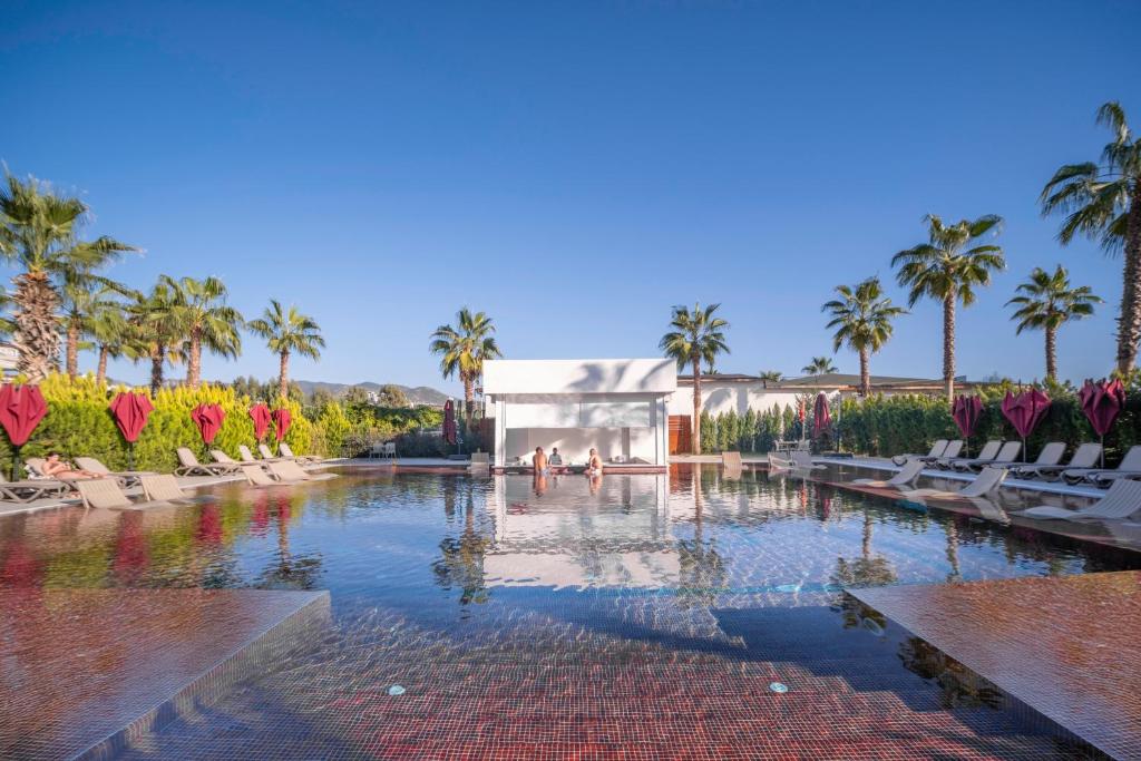 Serenity Queen Hotel - 6