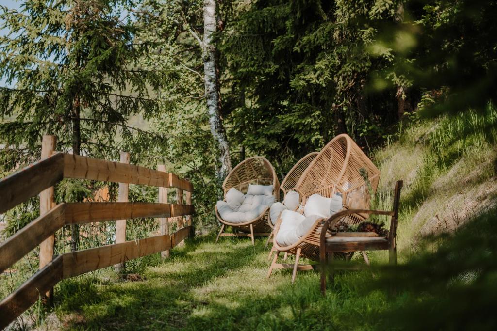 Zahrada ubytování Hotel Berghaus Rosengarten