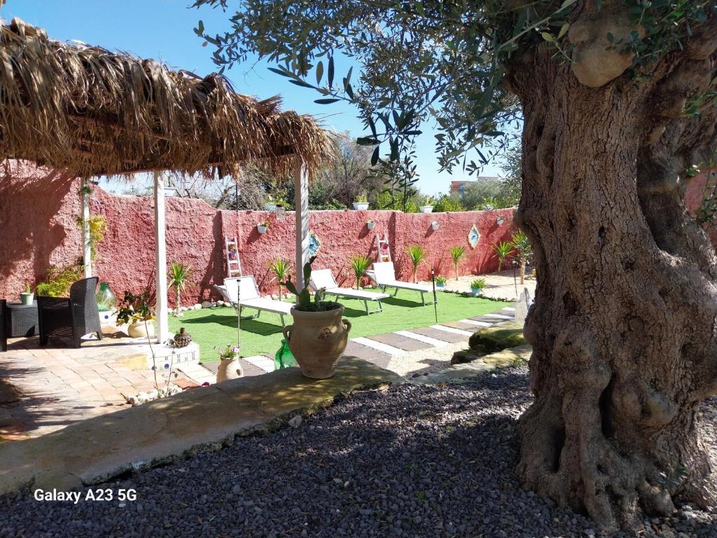 Zahrada ubytování " B&B CASALE SICULO " near Syracuse and Etna