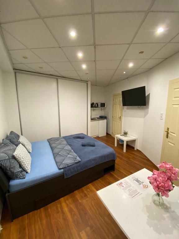 Televízia a/alebo spoločenská miestnosť v ubytovaní Malasits Apartman