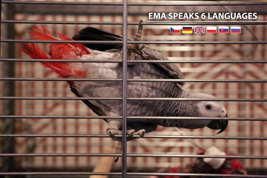 COLORFACTORY SPA Hotel - Czech Leading Hotels - Resim 19