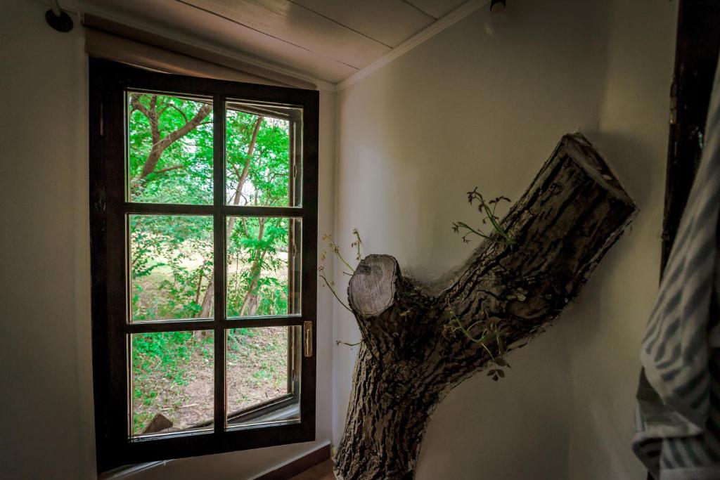Zahrada ubytování Loft Treehouse