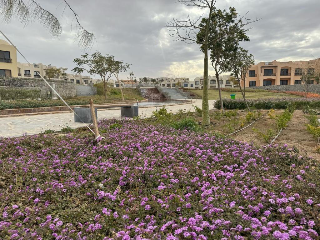 Zahrada ubytování Villa for you on your own in Makadi Heights, Hurghada, Read Sea, Egypt
