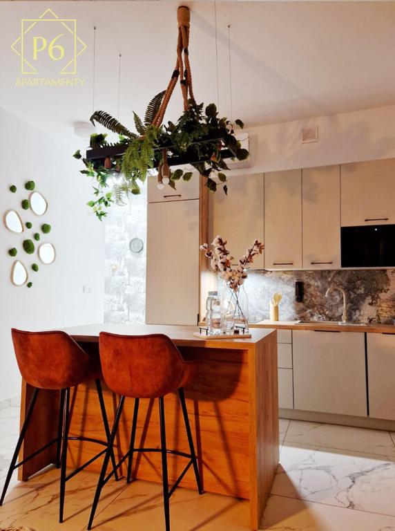 Kuchyň nebo kuchyňský kout v ubytování P6 Retro Nest Apartament