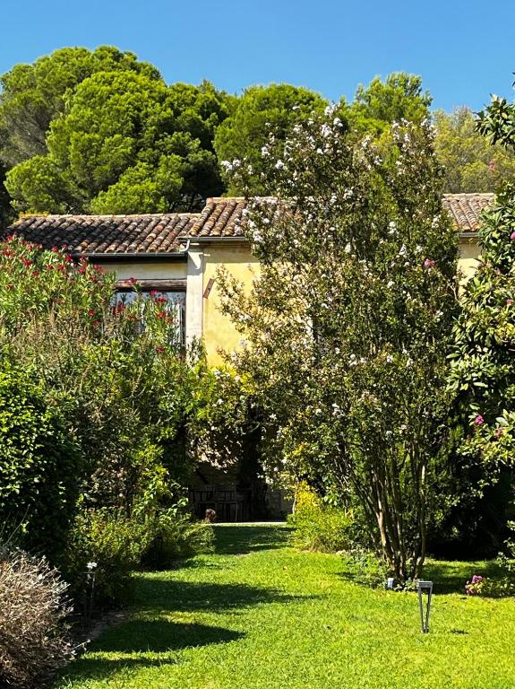 un jardin avec une maison jaune et un arbre dans l'établissement MAISON À MAUSSANE-les-ALPILLES, à Maussane-les-Alpilles