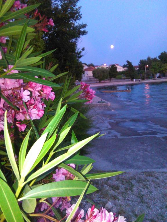 Rooms & Apartments Linda & Mario - 5