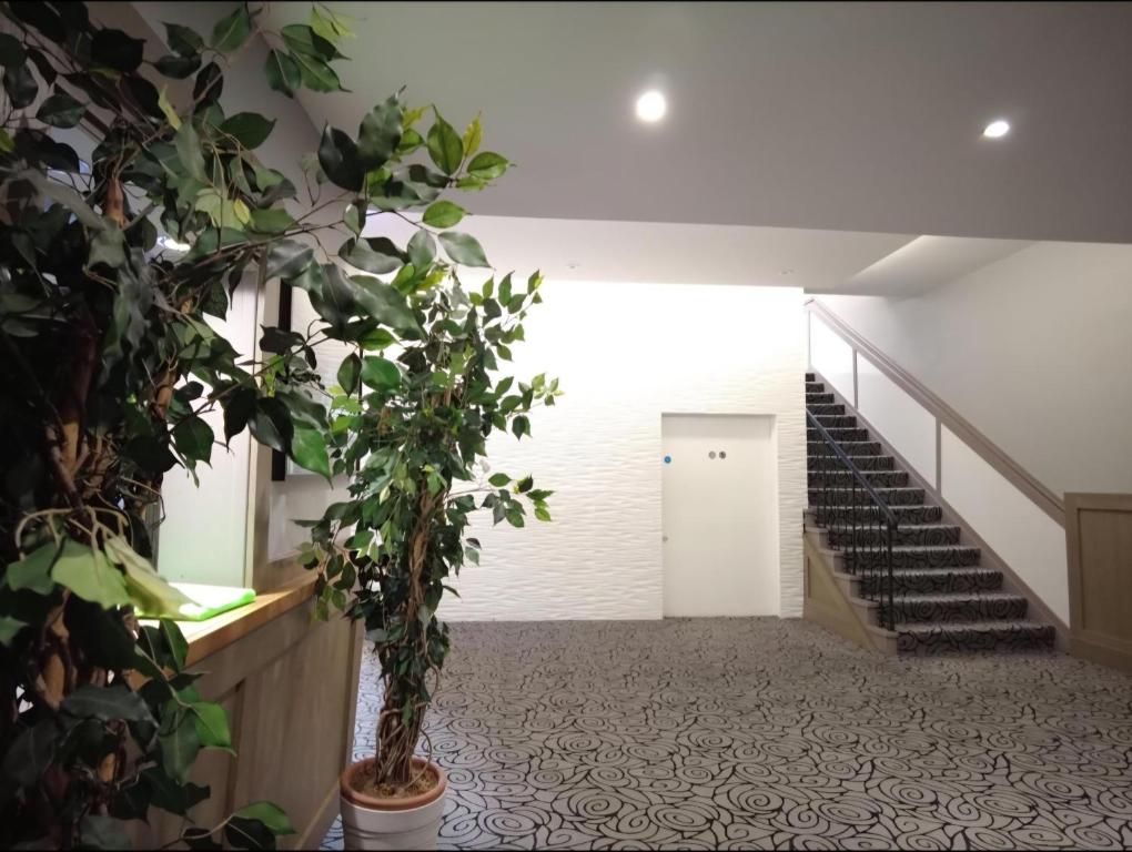 Kings Park Hotel - Resim 41