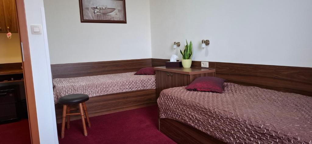 Penzion Kozak B&B - Tweepersoonskamer Met 2 Aparte Bedden