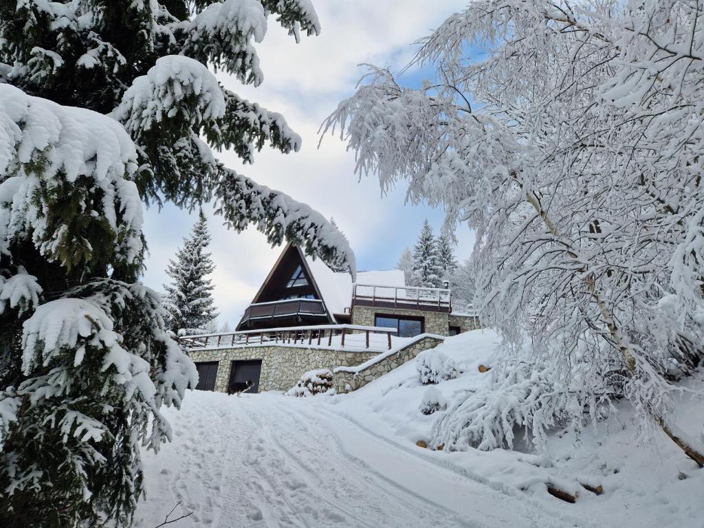 le chalet pointu de capucine v zimě
