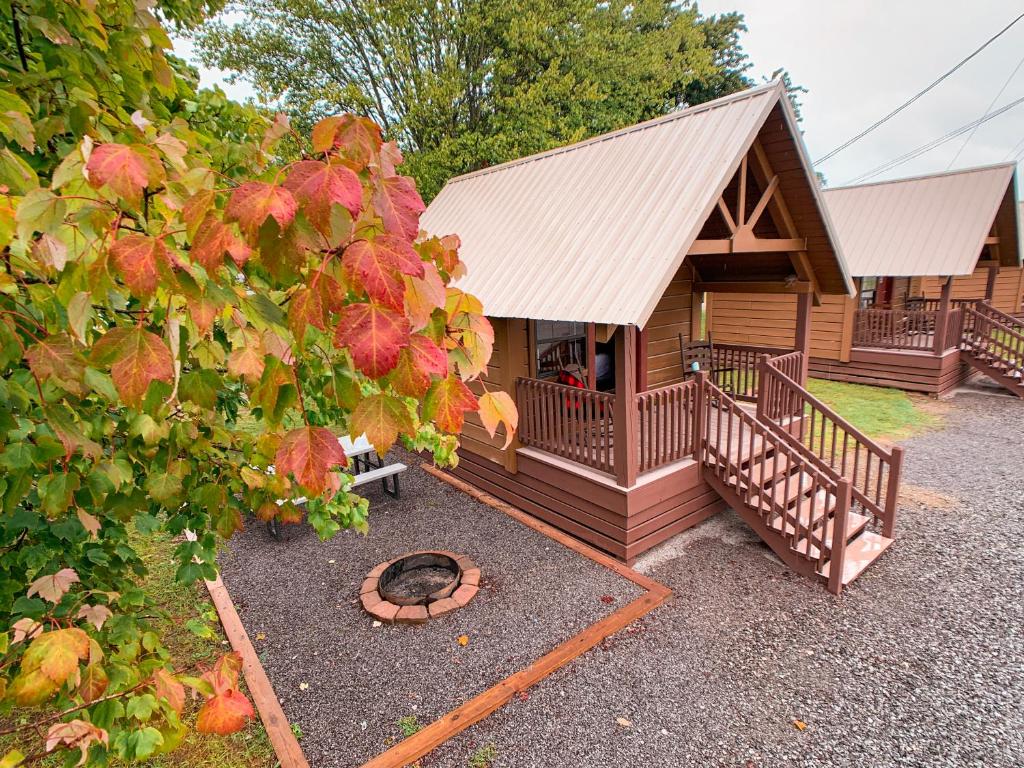 a log cabin with a porch and a fire pit at Sun Outdoors Pigeon Forge in Sevierville