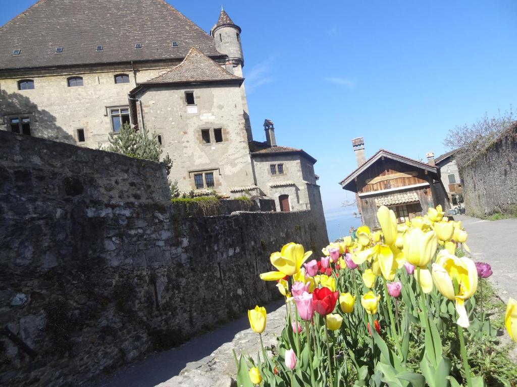 a bunch of flowers in front of a castle at La Pointe D'Yvoire in Yvoire