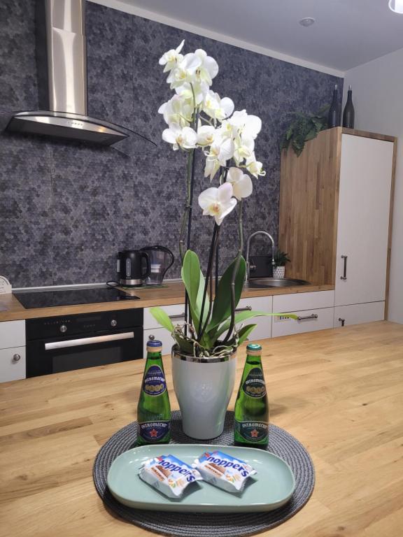 Kuchyň nebo kuchyňský kout v ubytování Apartament Pod Orzechem