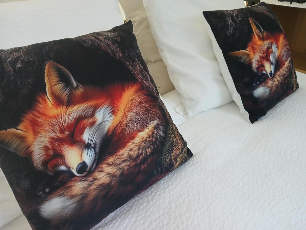 Foto Namuris asuva majutusasutuse Le Loft du Renard, Gîte rural à Namur Wépion galeriist