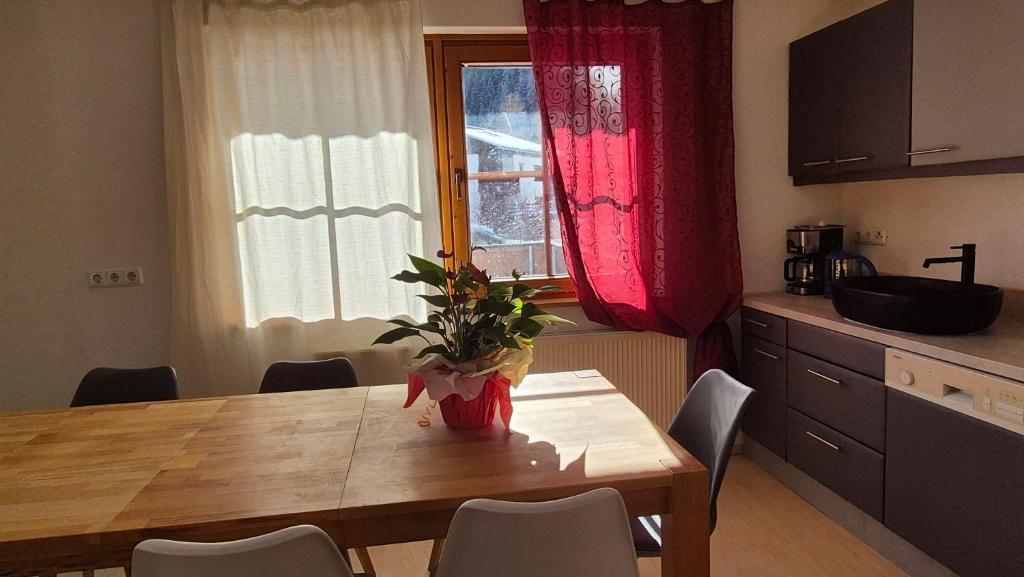 Kuchyňa alebo kuchynka v ubytovaní Alina's DIY-Haus St.Jakob