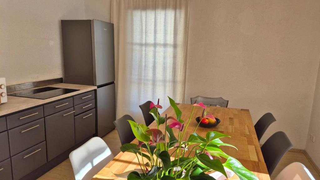 Kuchyňa alebo kuchynka v ubytovaní Alina's DIY-Haus St.Jakob