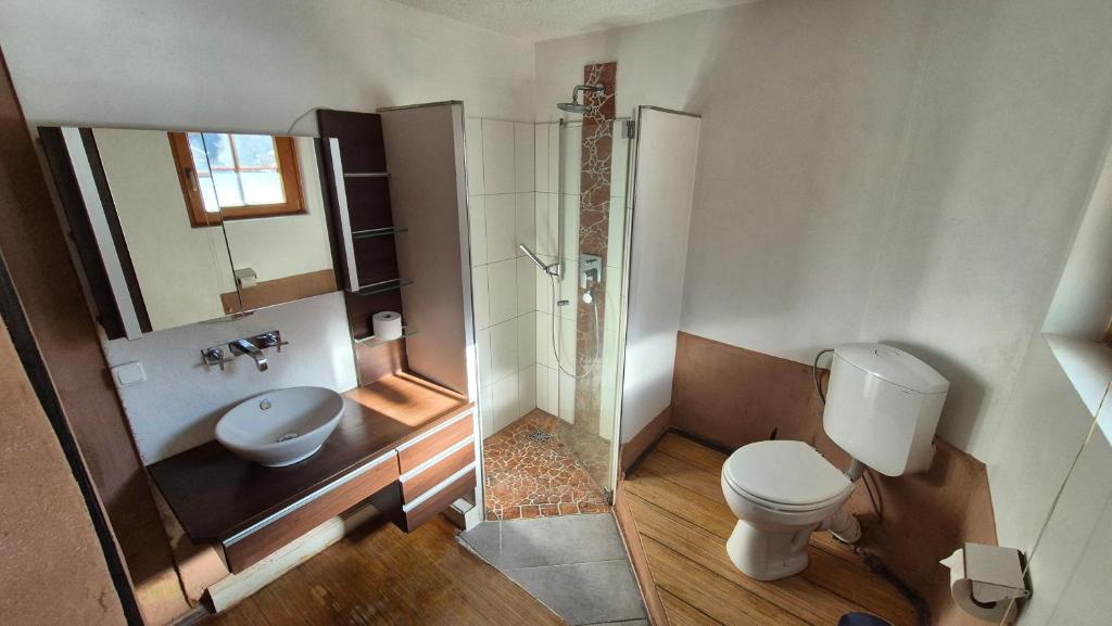 Kúpeľňa v ubytovaní Alina's DIY-Haus St.Jakob
