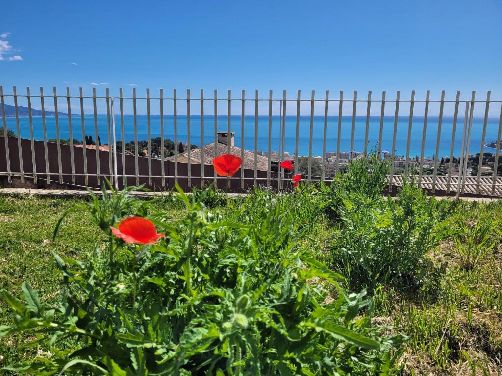 deux fleurs rouges devant une clôture dans l'établissement La Maison des Mots et des Notes, à Roquebrune-Cap-Martin