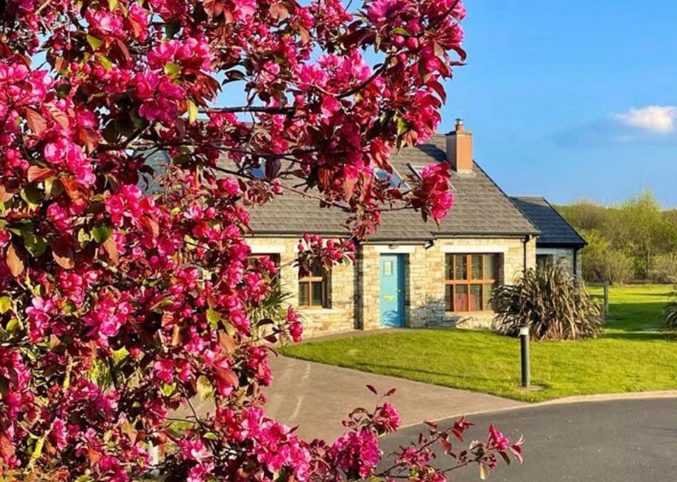 Zahrada ubytování Donegal Boardwalk Resort