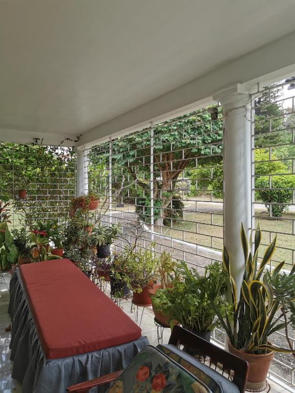 Taman di luar Sammy's place