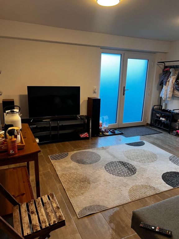 TV a/nebo společenská místnost v ubytování Chalet Duque