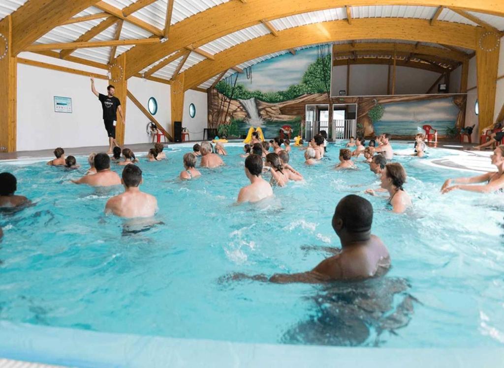 ZEcamping 4 pet friendly terrain multisports piscine couverte