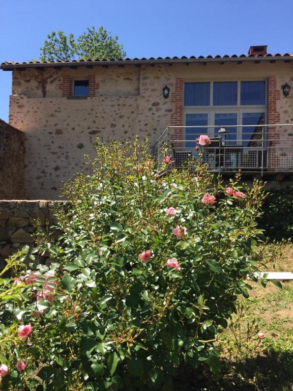 une brousse de roses devant une maison dans l'établissement Gîte atypique Nature La Cabane, à Vieille-Brioude