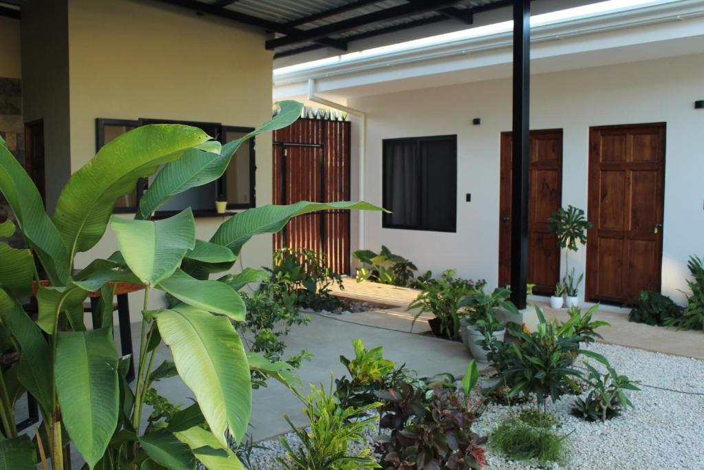 Zahrada ubytování Hotel Huacas